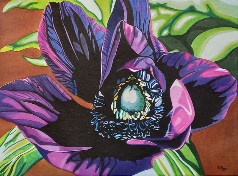 Anemones 2 TBD
