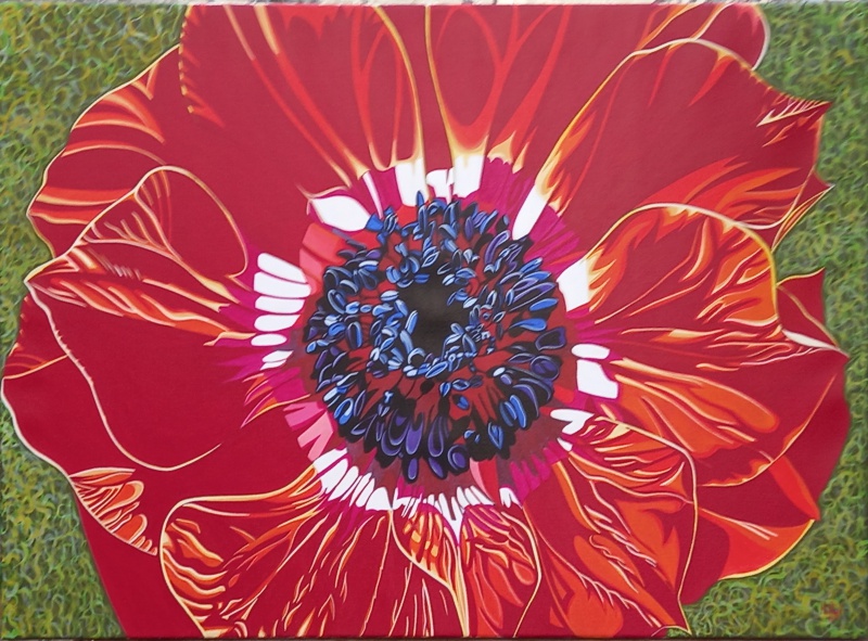 Anemones TBD