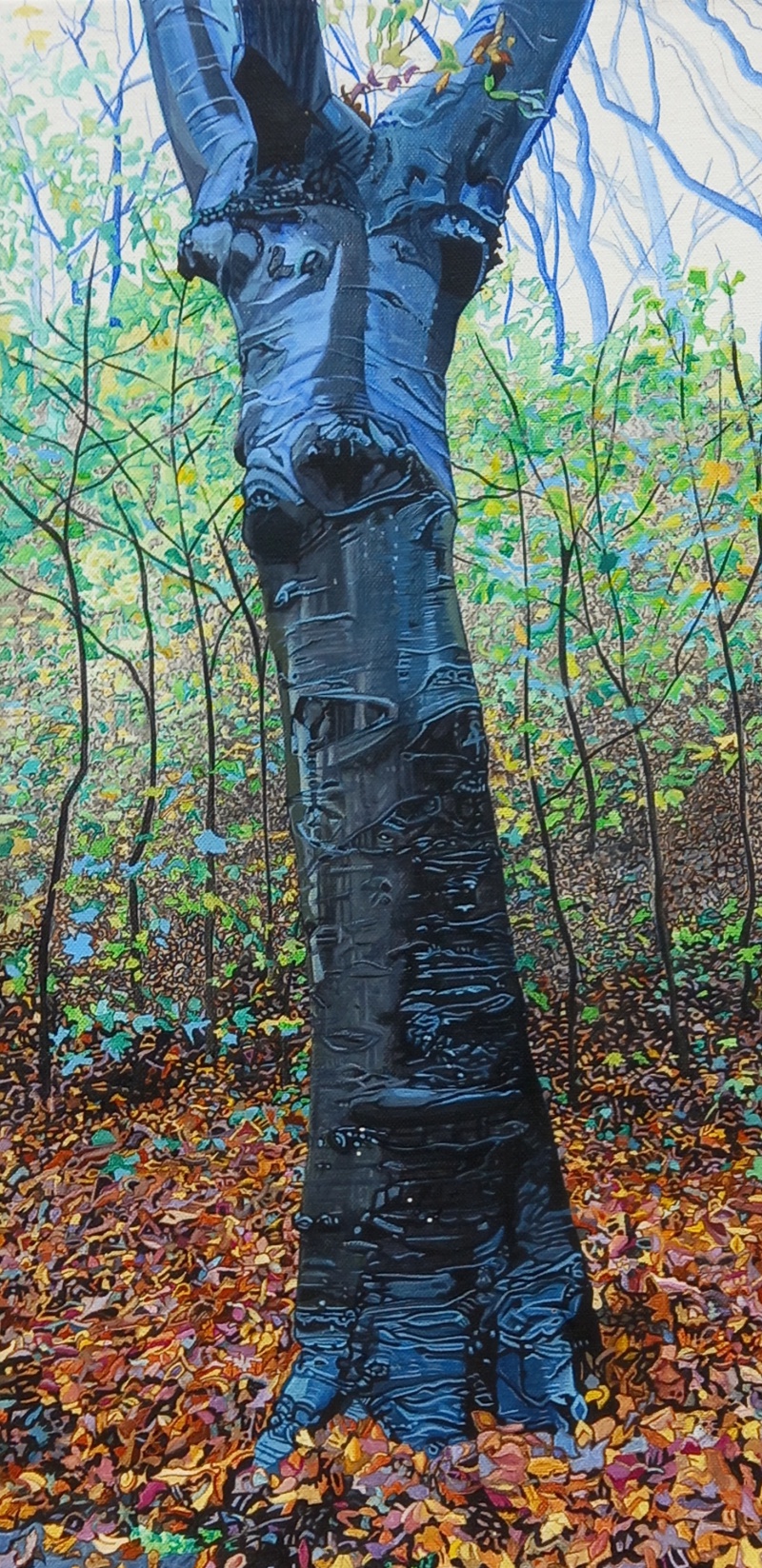 Echnaton (in autumn)
