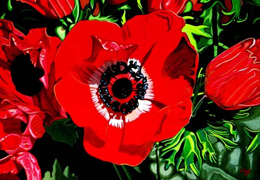 Red Anemone I