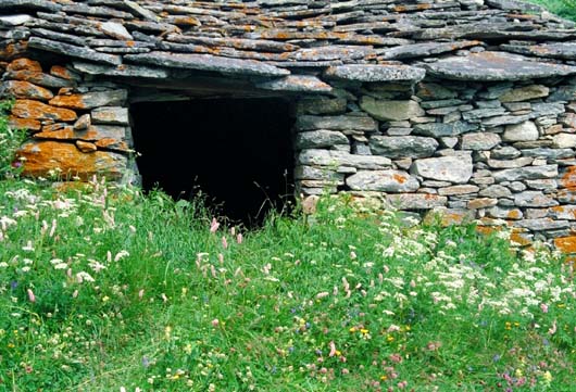Barn in Summer