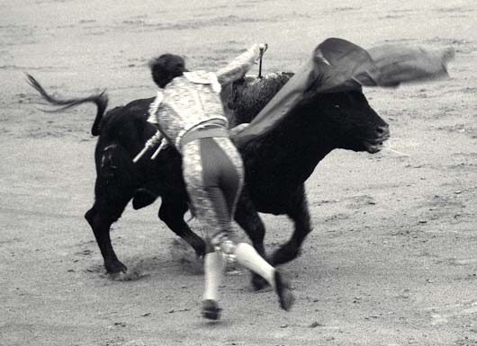 Estocade