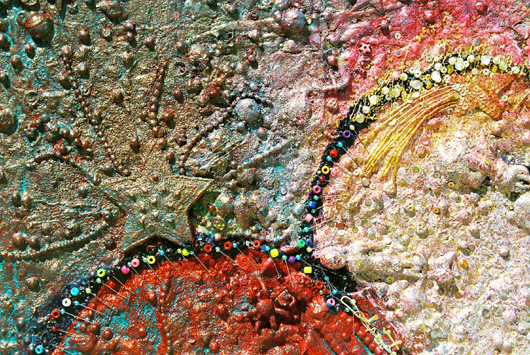 Shooting Star (detail)