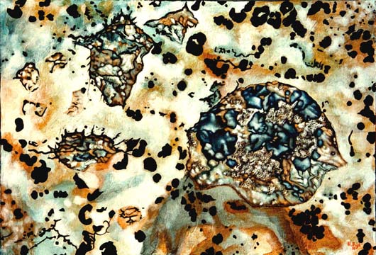 Lichens II