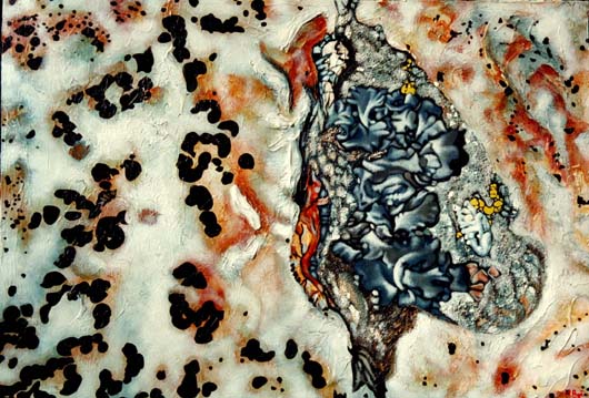 Lichens I