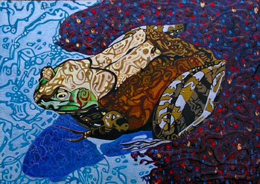 Lucky Toad