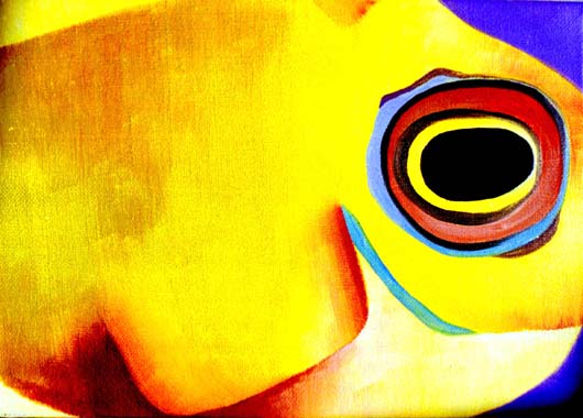 Angelfish