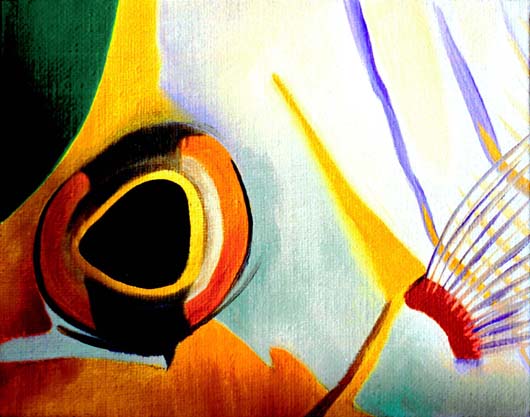 Butterfly Fish