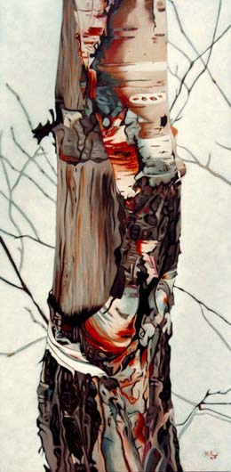 Birch Trunk