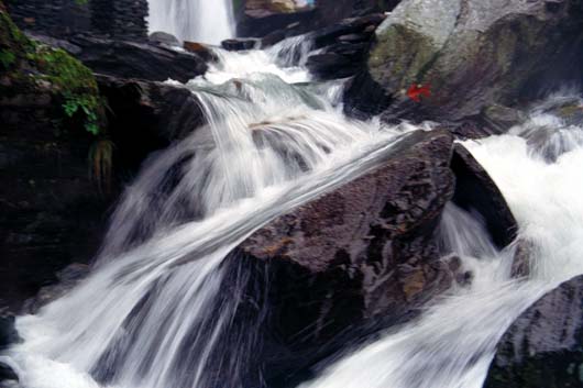 Eau II