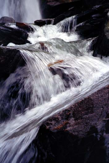 Eau