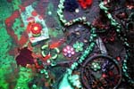 Detail of Matangi