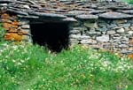 Barn in Summer