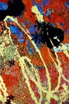 Detail of Yellow Dog II