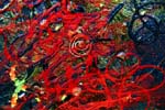 Detail of Bloody Winter