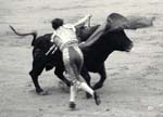 Estocade