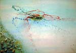 Dry Canvas