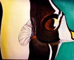 Moorish Idol