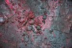Detail of Whatever My Little Black Heart Desires