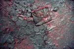 Detail of Whatever My Little Black Heart Desires