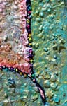 Detail of Shooting Star