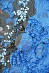 Detail of Kung-Fu, I Love You Black and Blue