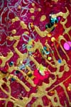 Detail of Thousand and One Nights